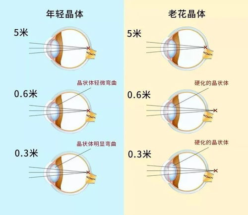 论一块直男牛肉是怎么被潮汕人打到弯成丸子的