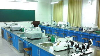 三全学院发展视角下的眼视光专业与眼镜及护理用品销售行业趋势分析